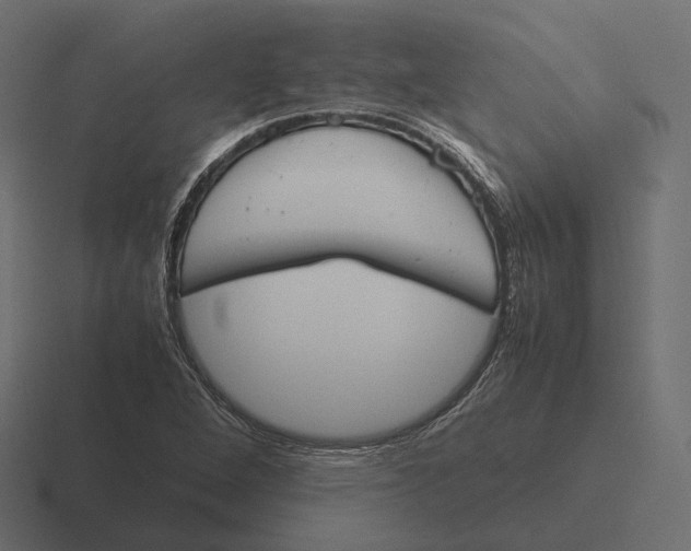 X0000116291264200912291405