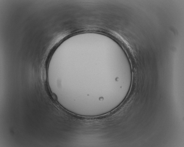 X0000116291269200912291405