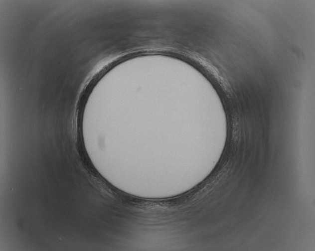 X0000116291270200912291405