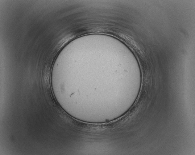 X0000116291273200912291405