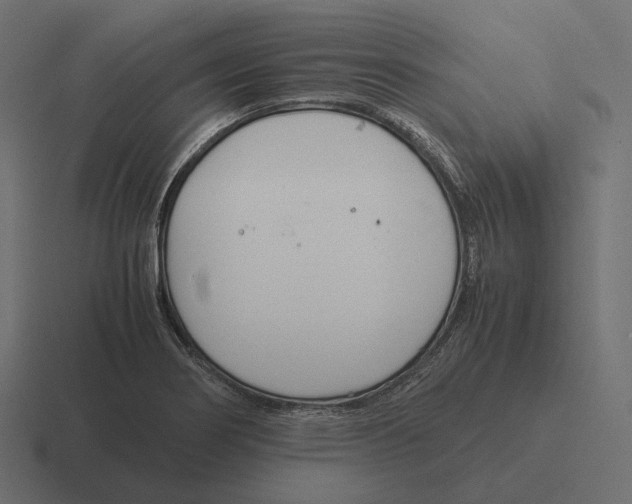 X0000116291274200912291405