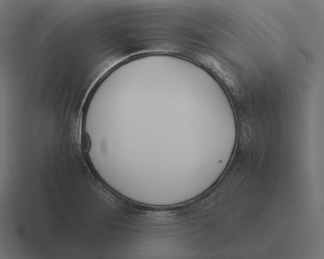 X0000116291276200912291405