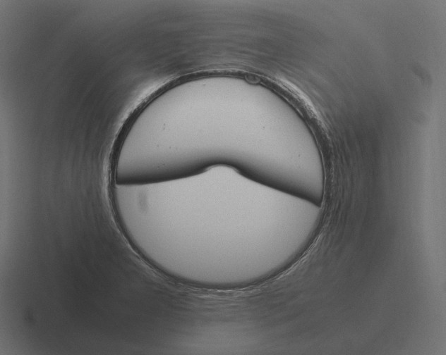 X0000116291277200912291405