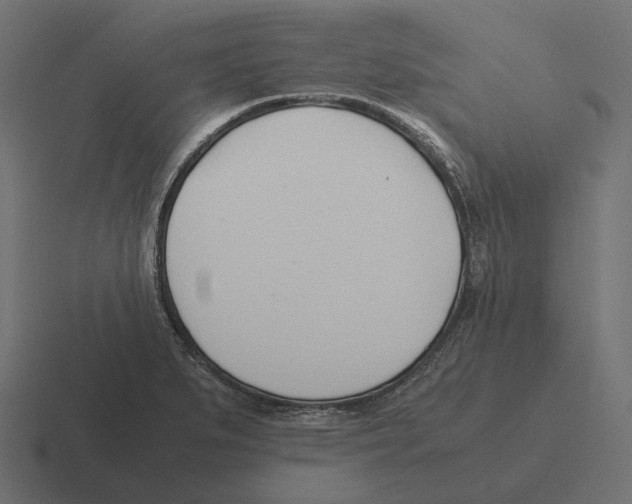 X0000116291279200912291405