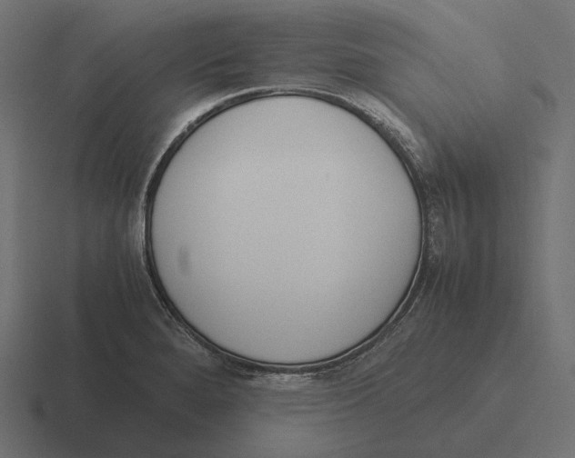 X0000116291280200912291405