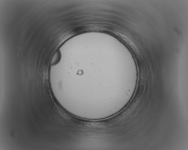 X0000116291281200912291405