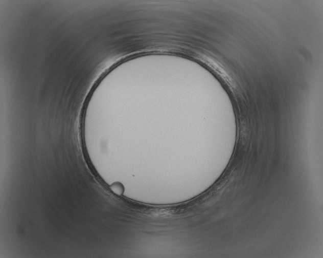 X0000116291283200912291405