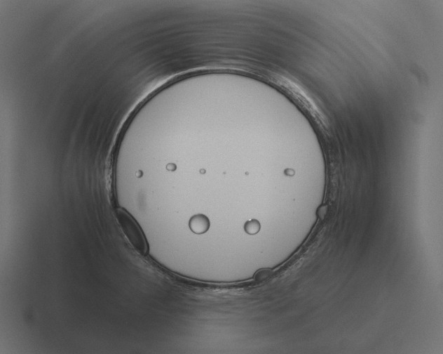 X0000116291284200912291405