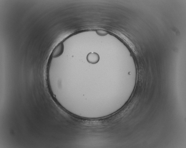 X0000116291285200912291405