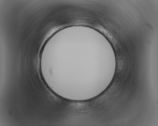 X0000116291286200912291405