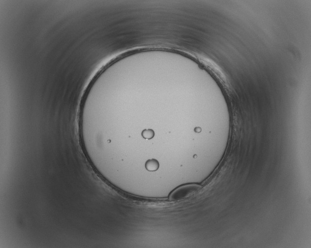 X0000116291288200912291405