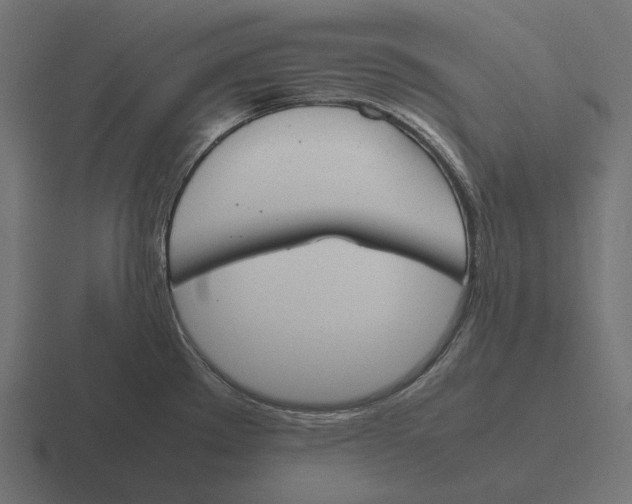 X0000116291289200912291405