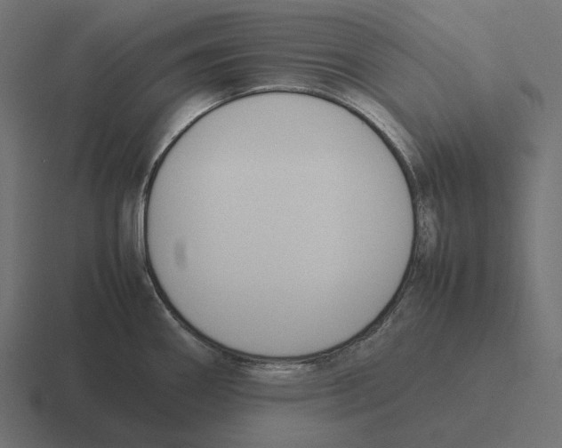 X0000116291290200912291405