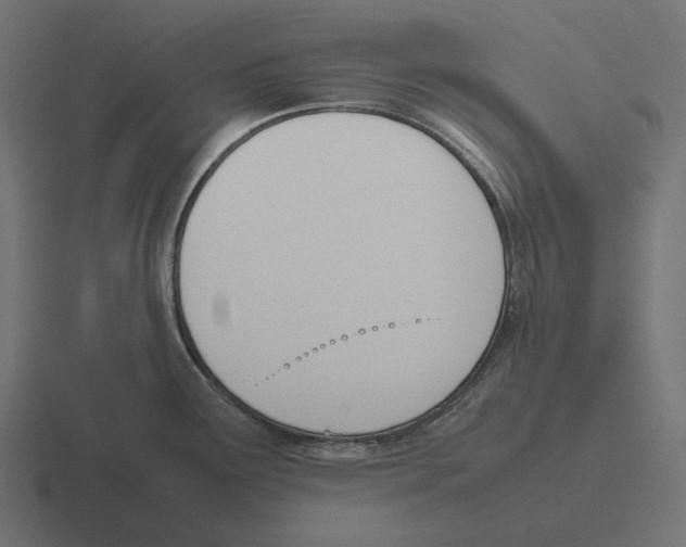 X0000116291291200912291405