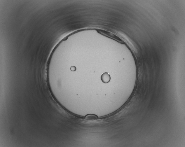 X0000116291292200912291405