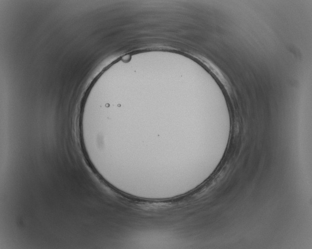 X0000116291293200912291405