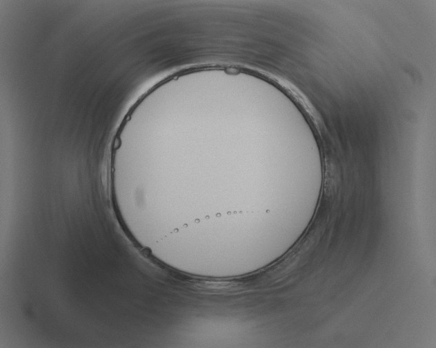 X0000116291295200912291405