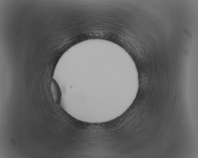 X0000116291297200912291404