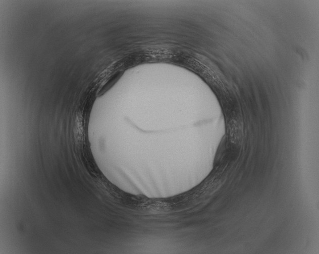 X0000116291298200912291404