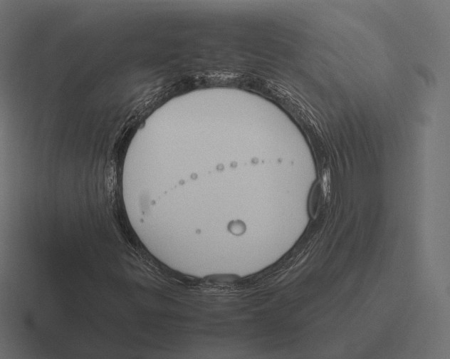 X0000116291299200912291404