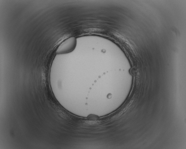 X0000116291305200912291404