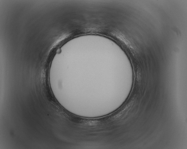 X0000116291309200912291404