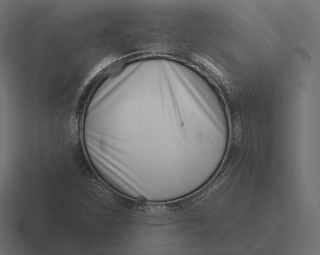 X0000116291310200912291404