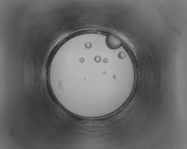 X0000116291318200912291405