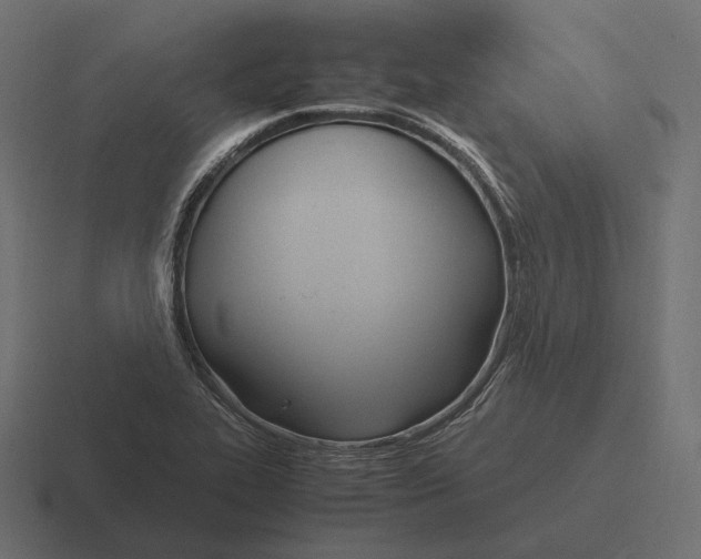 X0000116291319200912291405