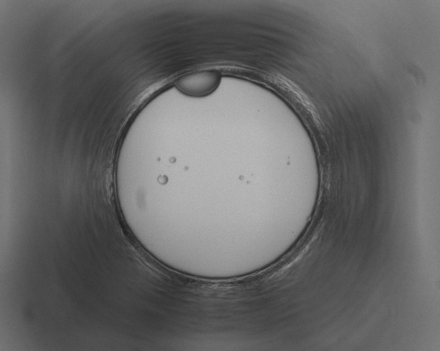 X0000116291321200912291405