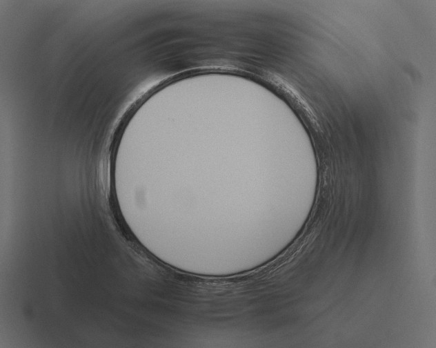 X0000116291323200912291405