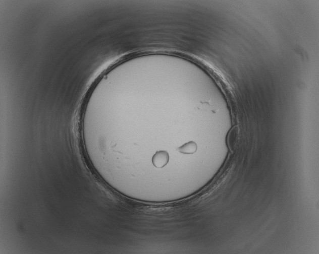 X0000116291325200912291405