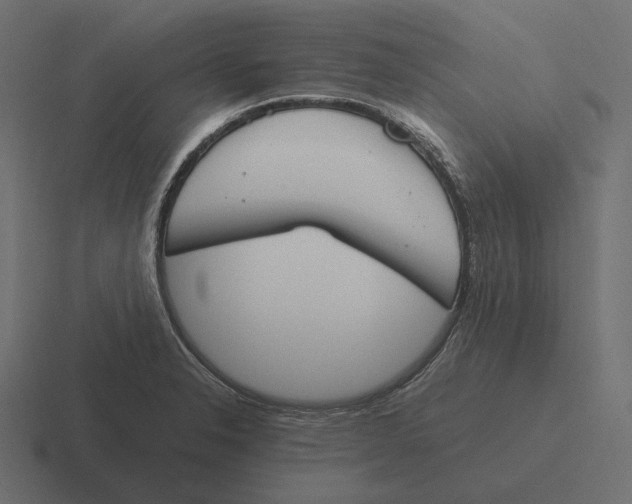 X0000116291326200912291405