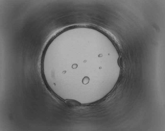 X0000116291327200912291405