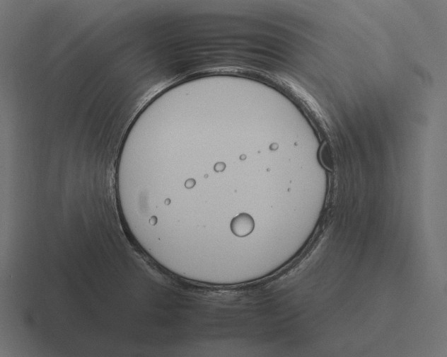 X0000116291329200912291405