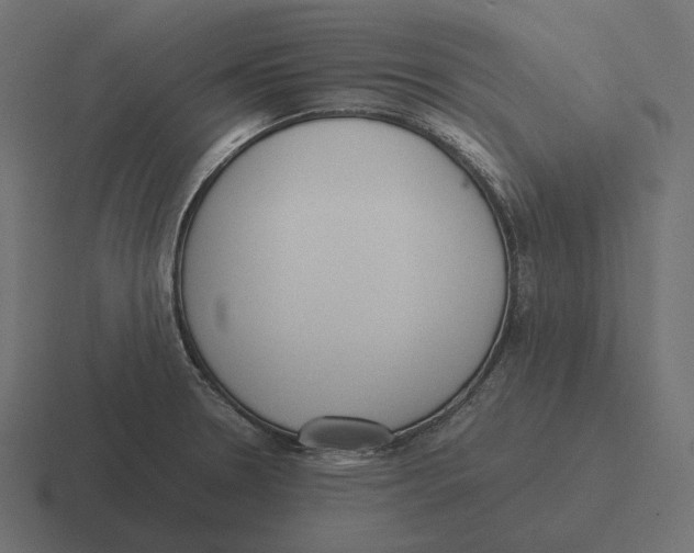 X0000116291330200912291405