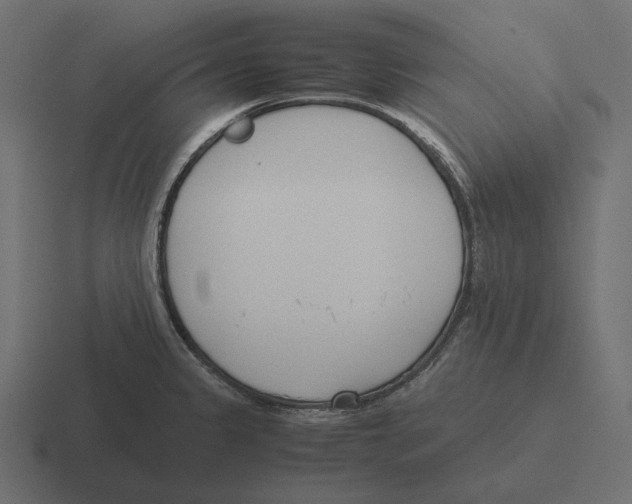 X0000116291333200912291405