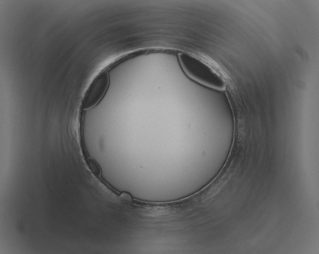 X0000116291334200912291405