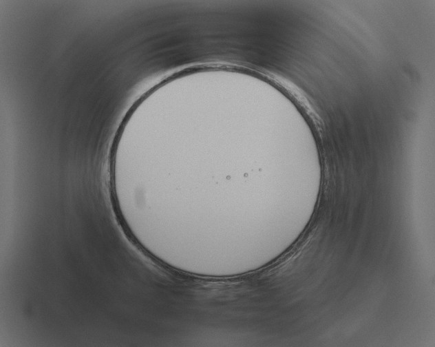 X0000116291335200912291405