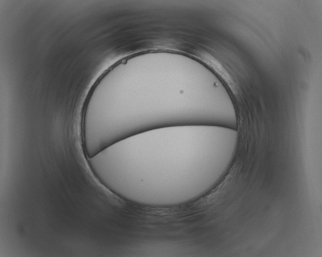 X0000116291339200912291405