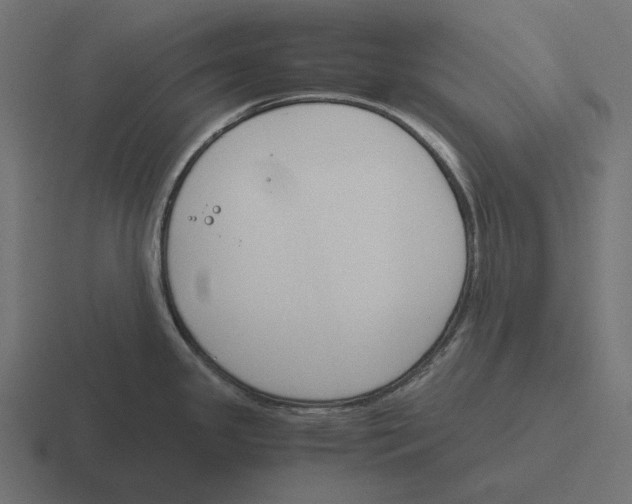 X0000116291341200912291405