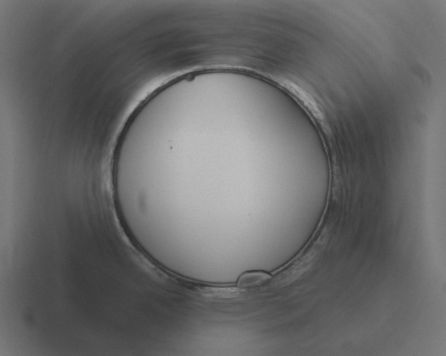 X0000116291342200912291405