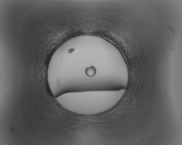 X0000116291349200912291404