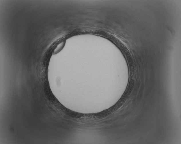 X0000116291351200912291404