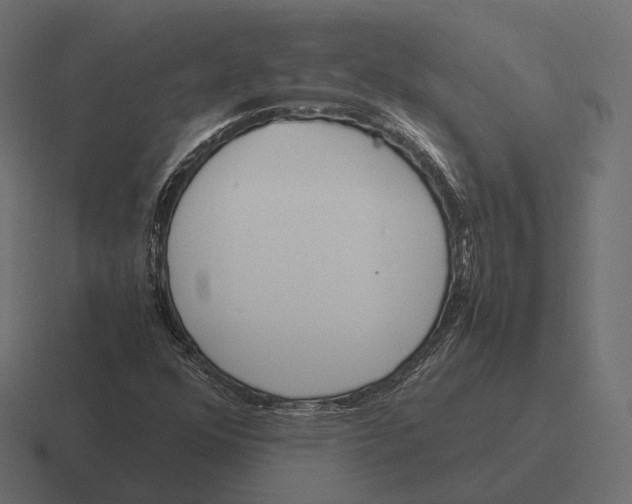 X0000116291352200912291404