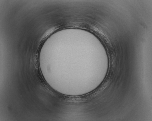 X0000116291354200912291404