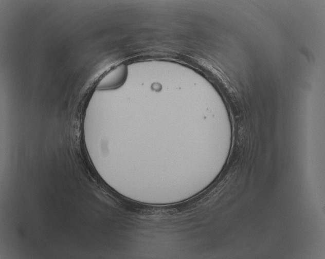 X0000116291355200912291404