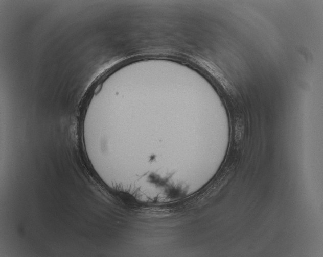 X0000116291356200912291404