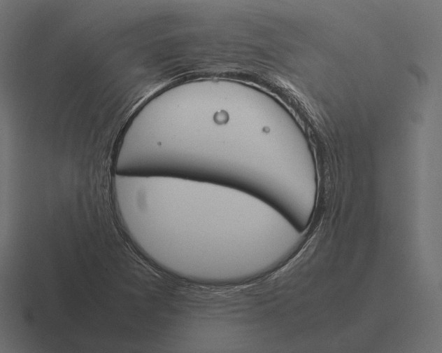 X0000116291361200912291404