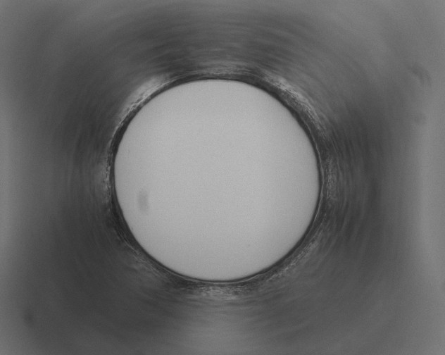 X0000116291362200912291404